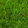 Césped artificial verde 1x5 m/40 mm de vidaXL, Flora artificial - Ref: Foro24-318329, Precio: 85,20 €, Descuento: %