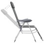 Sillas de camping plegables con reposapiés 2 uds textilene gris de vidaXL, Sillas de jardín - Ref: Foro24-360145, Precio: 169...