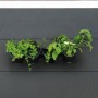 Nature Jardín vertical / Kit para hierbas y flores de Nature, Maceteros y jardineras - Ref: Foro24-434648, Precio: 27,33 €, D...