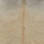 Alfombra de piel de vaca auténtica beige 150x170 cm de vidaXL, Alfombras - Ref: Foro24-284345, Precio: 207,91 €, Descuento: %