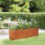 Arriate oxidado de acero corten 160x40x45 cm en Macetas y jardineras | Comprar online en Foru.es