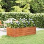 Arriate oxidado de acero corten 160x80x45 cm en Macetas y jardineras | Comprar online en Foru.es