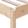 Cama apilable de madera pino maciza 80x200 cm de vidaXL, Camas y somieres - Ref: Foro24-820402, Precio: 98,95 €, Descuento: %