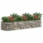 Arriate de gaviones de hierro galvanizado 300x100x50 cm en Macetas y jardineras | Comprar online en Foru.es