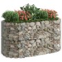 Arriate de gaviones de hierro galvanizado 200x100x100 cm en Macetas y jardineras | Comprar online en Foru.es