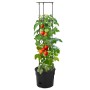 Macetero para tomates polipropileno antracita Ø29,5x115 cm en Macetas y jardineras | Comprar online en Foru.es