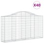 Cestas gaviones 40 uds forma de arco hierro 200x30x100/120 cm en Macetas y jardineras | Comprar online en Foru.es