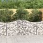 Cestas de gaviones 40 uds forma de arco hierro 200x50x80/100 cm en Macetas y jardineras | Comprar online en Foru.es