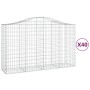 Cestas gaviones 40 uds forma de arco hierro 200x50x120/140 cm en Macetas y jardineras | Comprar online en Foru.es