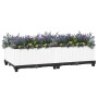 Arriate polipropileno 80x40x23 cm en Macetas y jardineras | Comprar online en Foru.es