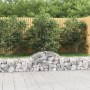 Cestas de gaviones 6 uds forma de arco hierro 200x30x40/60 cm en Macetas y jardineras | Comprar online en Foru.es
