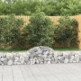 Cestas de gaviones 7 uds forma de arco hierro 200x30x40/60 cm en Macetas y jardineras | Comprar online en Foru.es