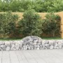 Cestas de gaviones 9 uds forma de arco hierro 200x30x40/60 cm en Macetas y jardineras | Comprar online en Foru.es