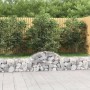 Cestas de gaviones 20 uds forma de arco hierro 200x30x40/60 cm en Macetas y jardineras | Comprar online en Foru.es