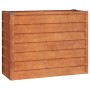 Arriate oxidado de acero corten 100x40x77 cm de vidaXL, Maceteros y jardineras - Ref: Foro24-151951, Precio: 68,80 €, Descuen...