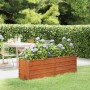 Arriate oxidado de acero corten 160x40x45 cm de vidaXL, Maceteros y jardineras - Ref: Foro24-151952, Precio: 58,72 €, Descuen...