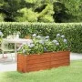 Arriate oxidado de acero corten 160x40x45 cm de vidaXL, Maceteros y jardineras - Ref: Foro24-151952, Precio: 58,83 €, Descuen...