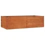 Arriate oxidado de acero corten 160x80x45 cm de vidaXL, Maceteros y jardineras - Ref: Foro24-151958, Precio: 78,24 €, Descuen...