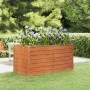 Arriate oxidado de acero corten 160x80x77 cm de vidaXL, Maceteros y jardineras - Ref: Foro24-151959, Precio: 95,70 €, Descuen...