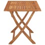 Mesa de jardín plegable madera maciza de eucalipto 120x70x75 cm de vidaXL, Mesas de jardín - Ref: Foro24-312453, Precio: 151,...