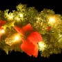 Arco de Navidad con luces LED verde 90 cm PVC de vidaXL, Luces de Navidad - Ref: Foro24-320980, Precio: 29,49 €, Descuento: %