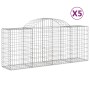 Cestas de gaviones 5 uds forma de arco hierro 200x50x80/100 cm en Macetas y jardineras | Comprar online en Foru.es