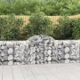 Cestas de gaviones 11 uds forma de arco hierro 200x50x80/100 cm en Macetas y jardineras | Comprar online en Foru.es