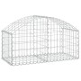 Cesta de gaviones forma arco hierro galvanizado 100x50x40/60 cm en Macetas y jardineras | Comprar online en Foru.es