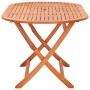 Mesa de jardín plegable madera maciza de eucalipto 160x85x74 cm de vidaXL, Mesas de jardín - Ref: Foro24-48703, Precio: 153,1...
