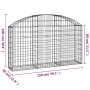 Cesta de gaviones forma arco hierro galvanizado 150x30x80/100cm en Macetas y jardineras | Comprar online en Foru.es