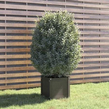 Jardinera de madera maciza de pino gris 40x40x40 cm de vidaXL, Maceteros y jardineras - Ref: Foro24-810538, Precio: 47,34 €, ...