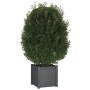 Jardinera de madera maciza de pino gris 40x40x40 cm de vidaXL, Maceteros y jardineras - Ref: Foro24-810538, Precio: 48,00 €, ...