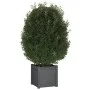 Jardinera de madera maciza de pino gris 40x40x40 cm de vidaXL, Maceteros y jardineras - Ref: Foro24-810538, Precio: 47,34 €, ...