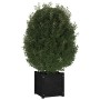 Jardinera de madera maciza de pino negro 40x40x40 cm de vidaXL, Maceteros y jardineras - Ref: Foro24-810542, Precio: 40,81 €,...