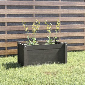 Jardinera de madera maciza de pino gris 60x31x31 cm de vidaXL, Maceteros y jardineras - Ref: Foro24-810708, Precio: 45,16 €, ...
