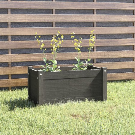 Jardinera de madera maciza de pino gris 60x31x31 cm de vidaXL, Maceteros y jardineras - Ref: Foro24-810708, Precio: 45,16 €, ...