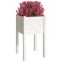 Jardineras 2 unidades madera maciza de pino blanco 40x40x70 cm de vidaXL, Maceteros y jardineras - Ref: Foro24-810792, Precio...
