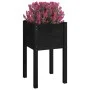 Jardineras 2 unidades madera maciza de pino negro 40x40x70 cm de vidaXL, Maceteros y jardineras - Ref: Foro24-810798, Precio:...