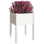 Jardinera de madera maciza de pino blanco 50x50x70 cm de vidaXL, Maceteros y jardineras - Ref: Foro24-810801, Precio: 31,45 €...