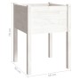 Jardinera de madera maciza de pino blanco 50x50x70 cm de vidaXL, Maceteros y jardineras - Ref: Foro24-810801, Precio: 31,45 €...