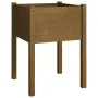 Jardinera de madera maciza de pino marrón miel 50x50x70 cm de vidaXL, Maceteros y jardineras - Ref: Foro24-810805, Precio: 35...