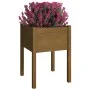 Jardinera de madera maciza de pino marrón miel 50x50x70 cm de vidaXL, Maceteros y jardineras - Ref: Foro24-810805, Precio: 35...