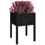 Jardinera de madera maciza de pino negro 50x50x70 cm de vidaXL, Maceteros y jardineras - Ref: Foro24-810807, Precio: 31,45 €,...