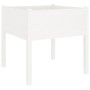 Jardinera de madera maciza de pino blanca 70x70x70 cm de vidaXL, Maceteros y jardineras - Ref: Foro24-810811, Precio: 41,02 €...