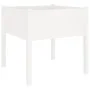 Jardinera de madera maciza de pino blanca 70x70x70 cm de vidaXL, Maceteros y jardineras - Ref: Foro24-810811, Precio: 41,02 €...