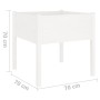 Jardineras 2 uds madera maciza de pino blanco 70x70x70 cm de vidaXL, Maceteros y jardineras - Ref: Foro24-810812, Precio: 72,...