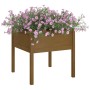 Jardinera de madera maciza de pino marrón miel 70x70x70 cm de vidaXL, Maceteros y jardineras - Ref: Foro24-810815, Precio: 46...