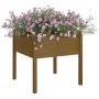 Jardineras 2 uds madera maciza de pino marrón miel 70x70x70 cm de vidaXL, Maceteros y jardineras - Ref: Foro24-810816, Precio...
