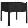Jardineras 2 uds madera maciza de pino negro 70x70x70 cm de vidaXL, Maceteros y jardineras - Ref: Foro24-810818, Precio: 72,4...