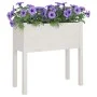 Jardineras 2 uds madera maciza de pino blanco 70x31x70 cm de vidaXL, Maceteros y jardineras - Ref: Foro24-810822, Precio: 84,...